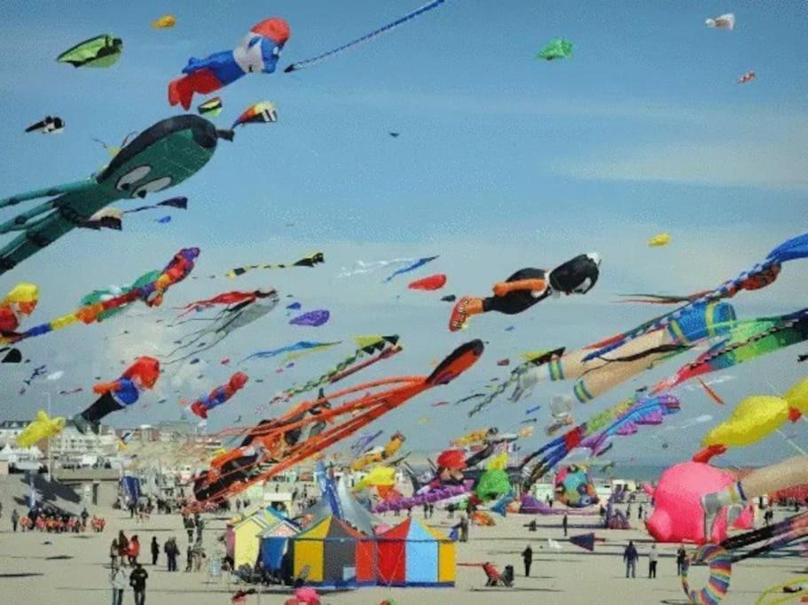 Le Petit Ecolier Hyper-Centre Proxi Gare-Plage ディエップ エクステリア 写真